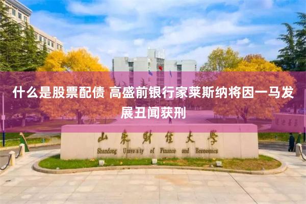 什么是股票配债 高盛前银行家莱斯纳将因一马发展丑闻获刑