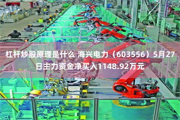 杠杆炒股原理是什么 海兴电力（603556）5月27日主力资金净买入1148.92万元
