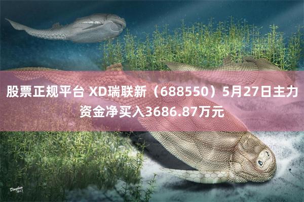 股票正规平台 XD瑞联新（688550）5月27日主力资金净买入3686.87万元