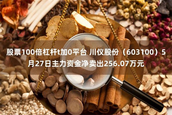 股票100倍杠杆t加0平台 川仪股份（603100）5月27日主力资金净卖出256.07万元