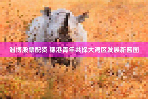 淄博股票配资 穗港青年共探大湾区发展新蓝图