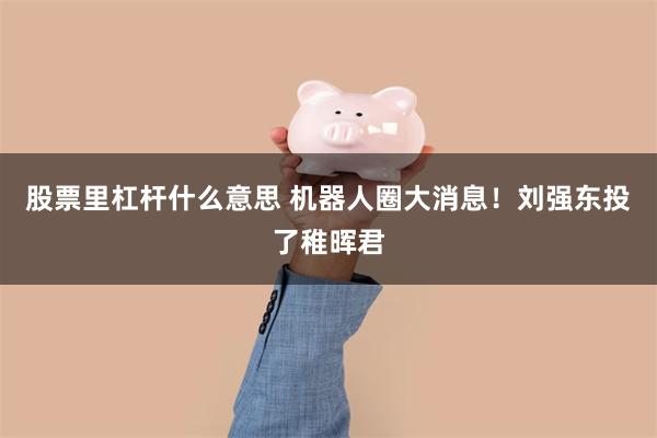 股票里杠杆什么意思 机器人圈大消息！刘强东投了稚晖君