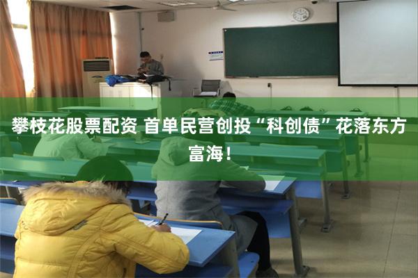 攀枝花股票配资 首单民营创投“科创债”花落东方富海！