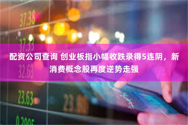 配资公司查询 创业板指小幅收跌录得5连阴，新消费概念股再度逆势走强