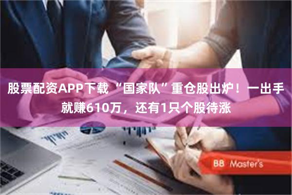 股票配资APP下载 “国家队”重仓股出炉！一出手就赚610万，还有1只个股待涨