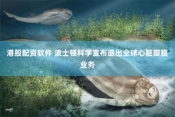 港股配资软件 波士顿科学宣布退出全球心脏瓣膜业务