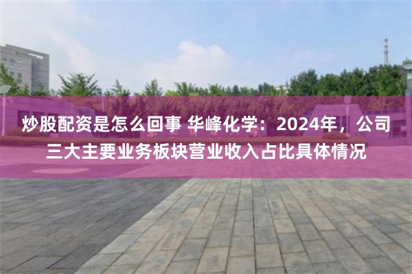 炒股配资是怎么回事 华峰化学：2024年，公司三大主要业务板块营业收入占比具体情况