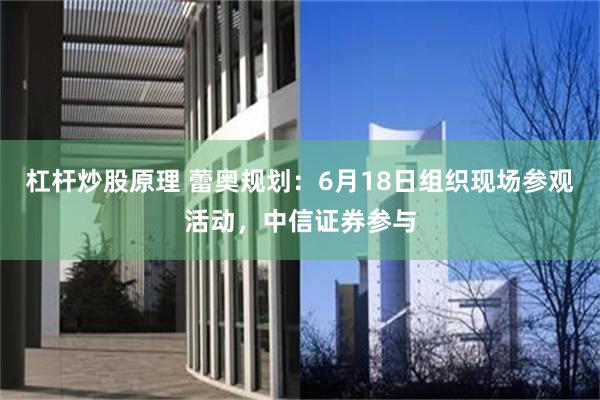 杠杆炒股原理 蕾奥规划：6月18日组织现场参观活动，中信证券参与
