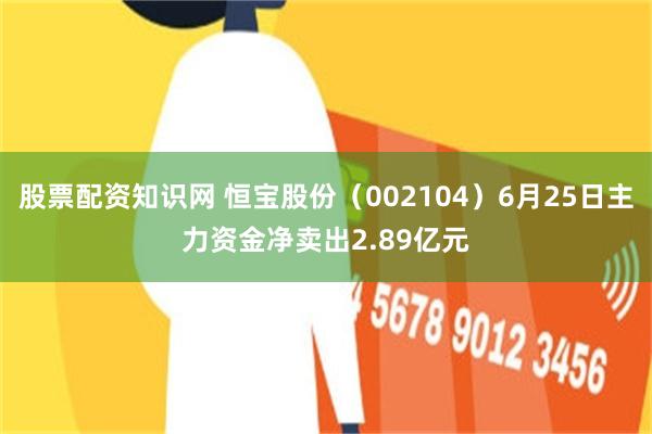 股票配资知识网 恒宝股份（002104）6月25日主力资金净卖出2.89亿元