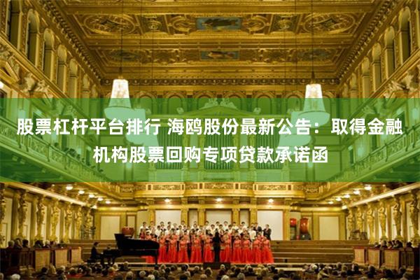 股票杠杆平台排行 海鸥股份最新公告：取得金融机构股票回购专项贷款承诺函