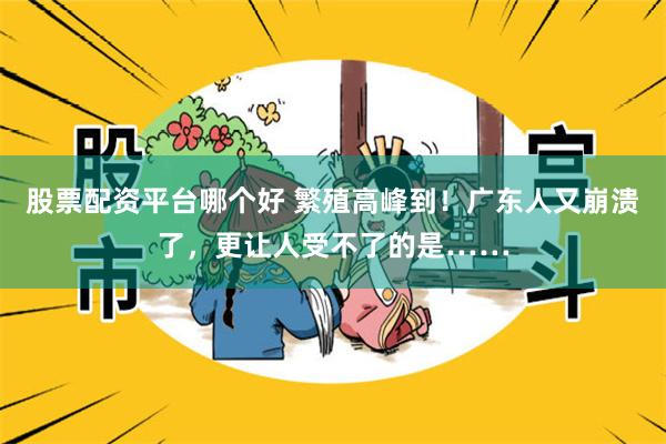股票配资平台哪个好 繁殖高峰到！广东人又崩溃了，更让人受不了的是……