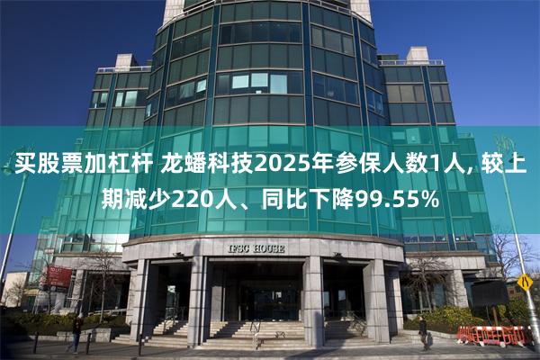 买股票加杠杆 龙蟠科技2025年参保人数1人, 较上期减少220人、同比下降99.55%