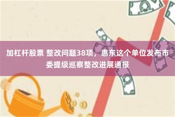 加杠杆股票 整改问题38项，惠东这个单位发布市委提级巡察整改进展通报
