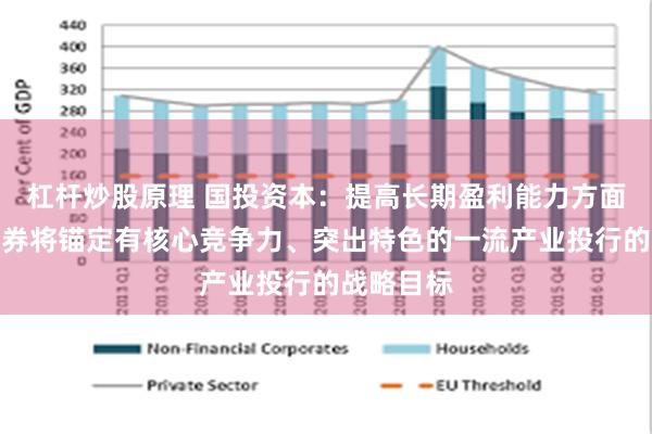 杠杆炒股原理 国投资本：提高长期盈利能力方面，国投证券将锚定有核心竞争力、突出特色的一流产业投行的战略目标
