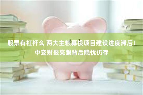 股票有杠杆么 两大主粮募投项目建设进度滞后!中宠财报亮眼背后隐忧仍存