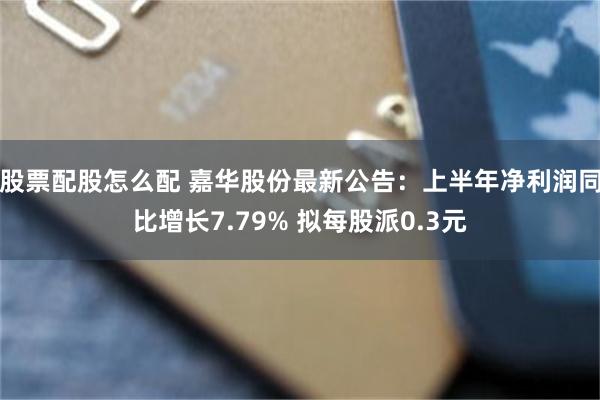 股票配股怎么配 嘉华股份最新公告：上半年净利润同比增长7.79% 拟每股派0.3元