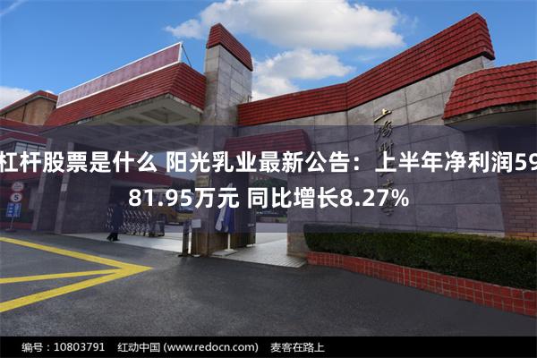 杠杆股票是什么 阳光乳业最新公告：上半年净利润5981.95万元 同比增长8.27%