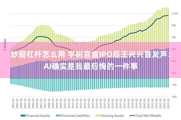 炒股杠杆怎么用 宇树官宣IPO后王兴兴首发声：AI确实是我最后悔的一件事