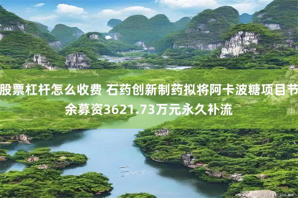 股票杠杆怎么收费 石药创新制药拟将阿卡波糖项目节余募资3621.73万元永久补流