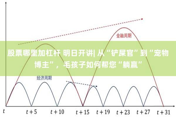 股票哪里加杠杆 明日开讲| 从“铲屎官”到“宠物博主”，毛孩子如何帮您“躺赢”