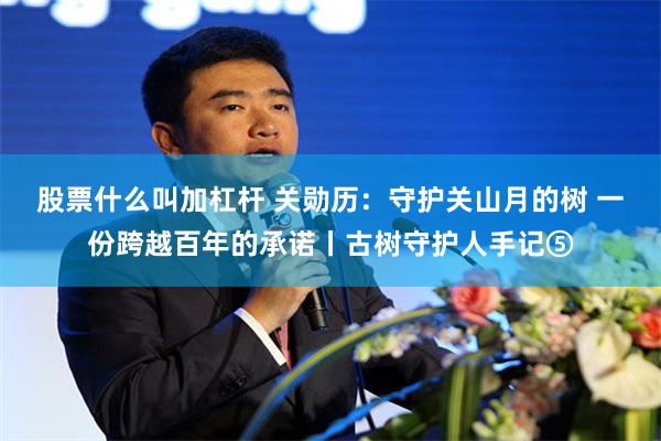 股票什么叫加杠杆 关勋历：守护关山月的树 一份跨越百年的承诺丨古树守护人手记⑤