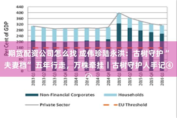 期货配资公司怎么找 成伟珍陆永洪：古树守护“夫妻档” 五年行走，万株牵挂丨古树守护人手记④