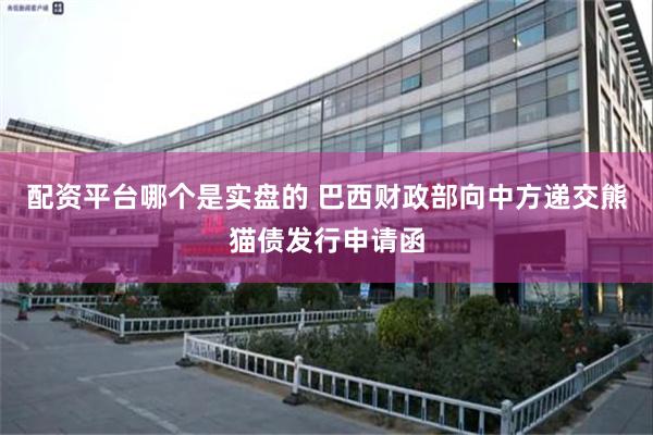 配资平台哪个是实盘的 巴西财政部向中方递交熊猫债发行申请函