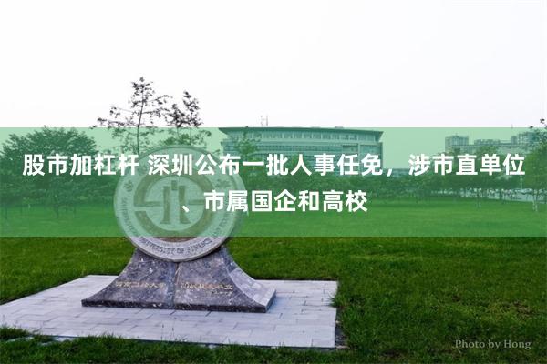 股市加杠杆 深圳公布一批人事任免,涉市直单位、市属国企和高校