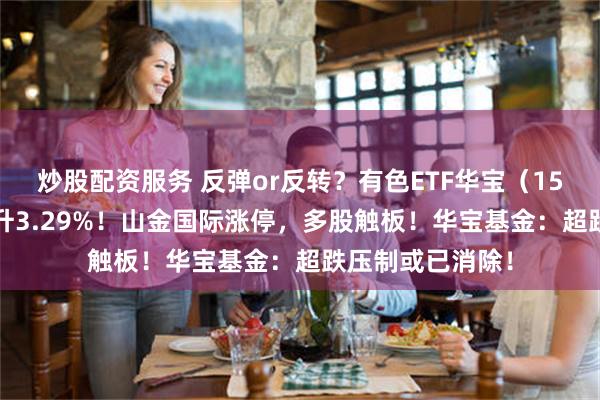 炒股配资服务 反弹or反转？有色ETF华宝（159876）强势拉升3.29%！山金国际涨停，多股触板！华宝基金：超跌压制或已消除！