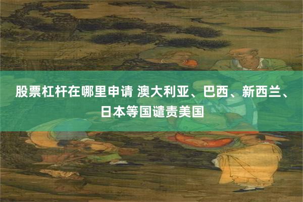 股票杠杆在哪里申请 澳大利亚、巴西、新西兰、日本等国谴责美国