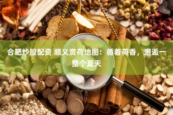 合肥炒股配资 顺义赏荷地图:循着荷香,邂逅一整个夏天