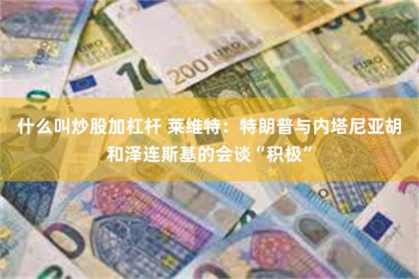 什么叫炒股加杠杆 莱维特：特朗普与内塔尼亚胡和泽连斯基的会谈“积极”