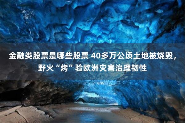 金融类股票是哪些股票 40多万公顷土地被烧毁，野火“烤”验欧洲灾害治理韧性