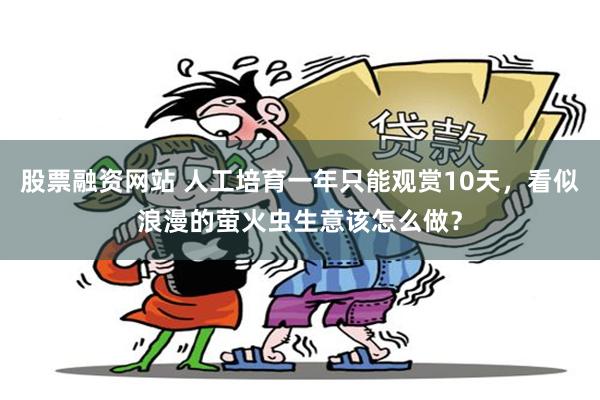 股票融资网站 人工培育一年只能观赏10天，看似浪漫的萤火虫生意该怎么做？