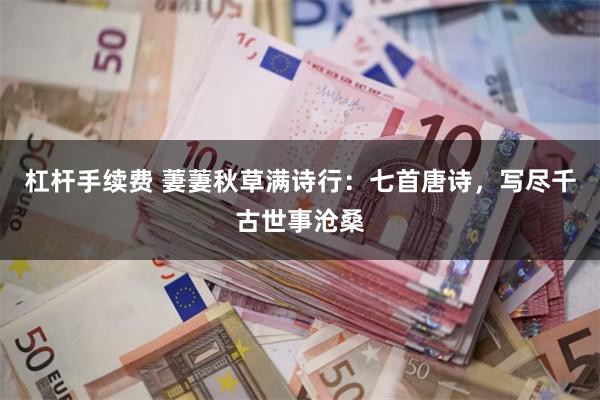 杠杆手续费 萋萋秋草满诗行：七首唐诗，写尽千古世事沧桑