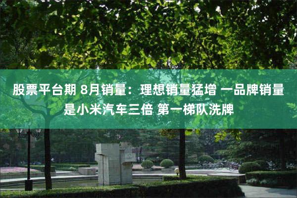 股票平台期 8月销量：理想销量猛增 一品牌销量是小米汽车三倍 第一梯队洗牌