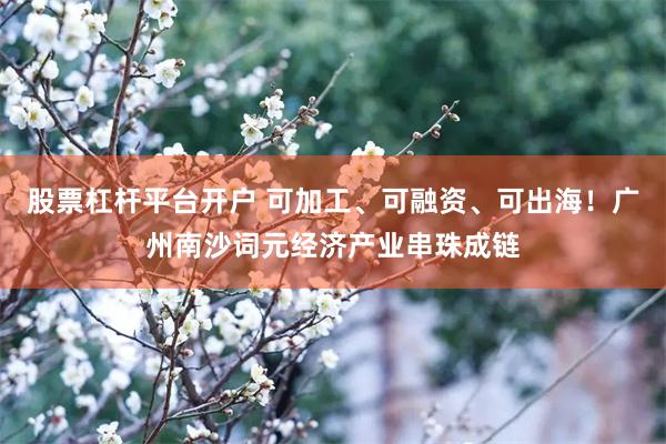 股票杠杆平台开户 可加工、可融资、可出海！广州南沙词元经济产业串珠成链