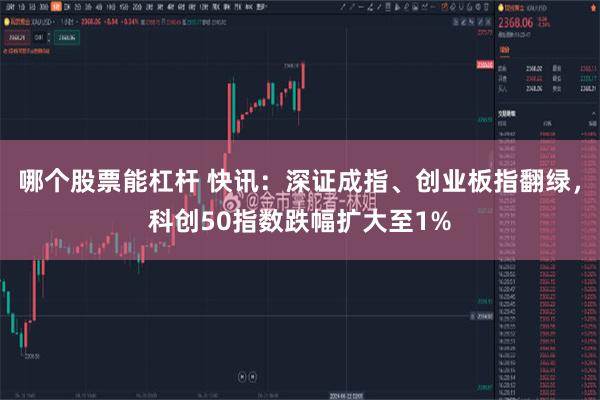 哪个股票能杠杆 快讯：深证成指、创业板指翻绿，科创50指数跌幅扩大至1%