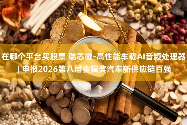 在哪个平台买股票 瑞芯微-高性能车载AI音频处理器 | 申报2026第八届金辑奖汽车新供应链百强