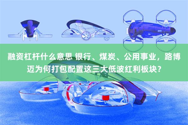 融资杠杆什么意思 银行、煤炭、公用事业，路博迈为何打包配置这三大低波红利板块？