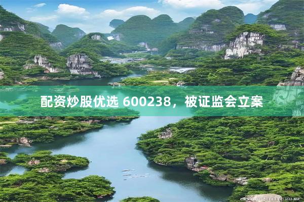 配资炒股优选 600238，被证监会立案