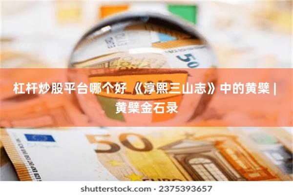 杠杆炒股平台哪个好 《淳熙三山志》中的黄檗 | 黄檗金石录