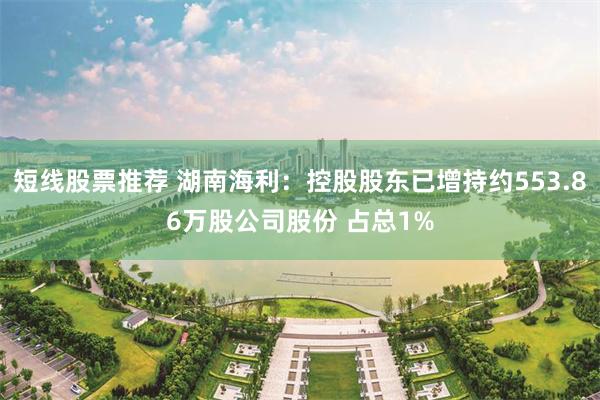 短线股票推荐 湖南海利:控股股东已增持约553.86万股公司股份 占总1%