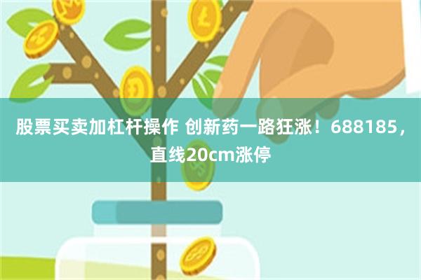 股票买卖加杠杆操作 创新药一路狂涨！688185，直线20cm涨停