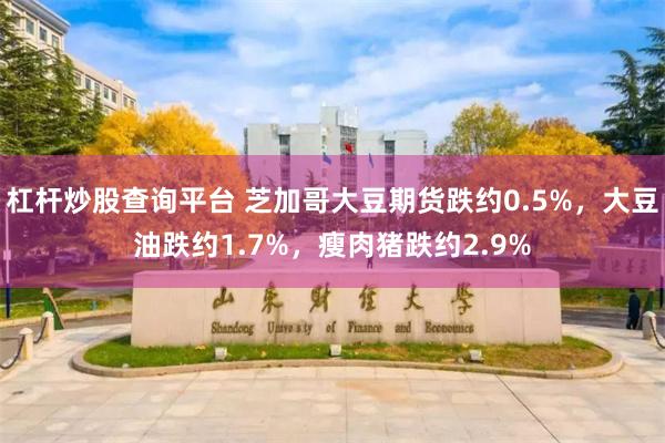 杠杆炒股查询平台 芝加哥大豆期货跌约0.5%，大豆油跌约1.7%，瘦肉猪跌约2.9%
