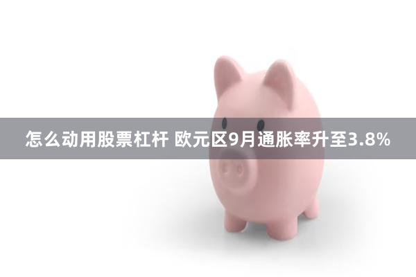 怎么动用股票杠杆 欧元区9月通胀率升至3.8%